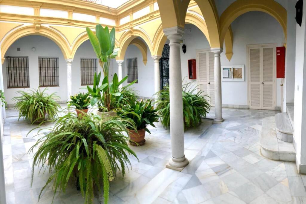 Gatu Villa Palma, Aire Acc Y Confort En El Centro Historico, " Preferente Mayores De 25 Anos Y Familias " El Puerto de Santa María Exteriér fotografie